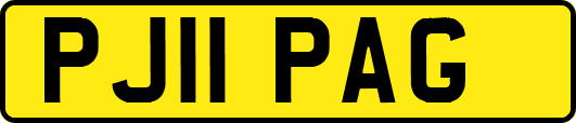PJ11PAG