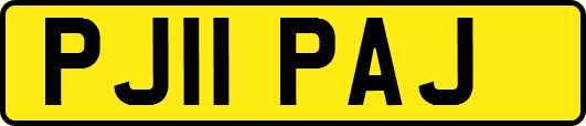 PJ11PAJ