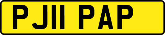 PJ11PAP