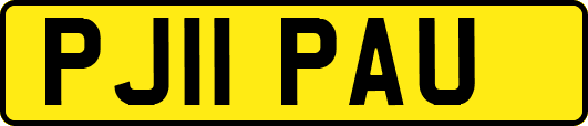 PJ11PAU