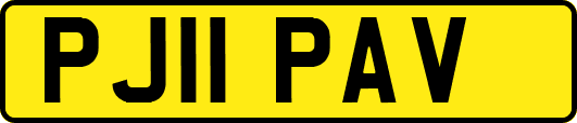 PJ11PAV