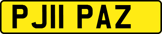 PJ11PAZ