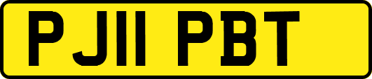PJ11PBT