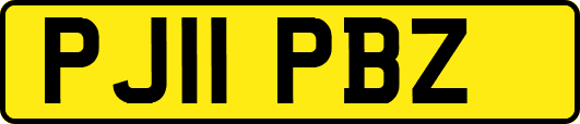 PJ11PBZ