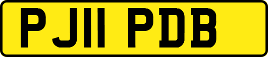 PJ11PDB