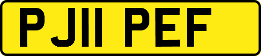 PJ11PEF