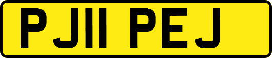 PJ11PEJ