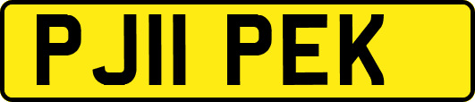 PJ11PEK
