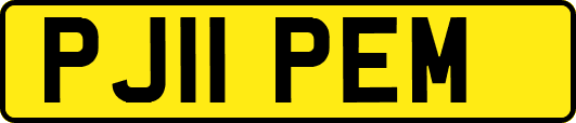PJ11PEM
