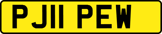 PJ11PEW