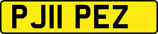 PJ11PEZ