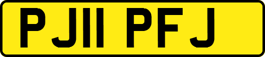 PJ11PFJ