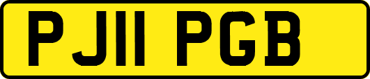 PJ11PGB