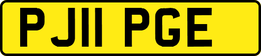PJ11PGE