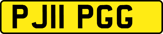 PJ11PGG