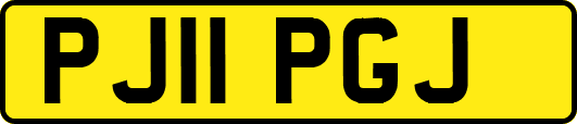 PJ11PGJ