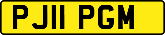 PJ11PGM