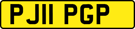 PJ11PGP