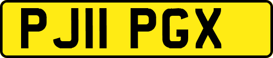 PJ11PGX