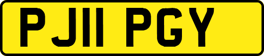 PJ11PGY
