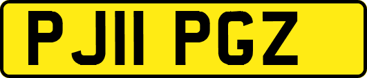 PJ11PGZ