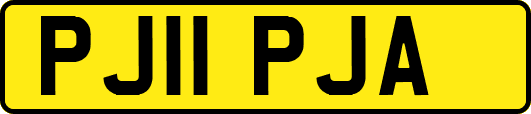 PJ11PJA