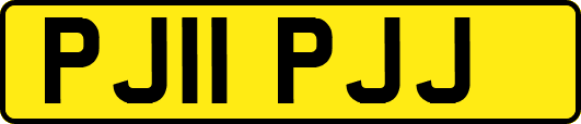 PJ11PJJ