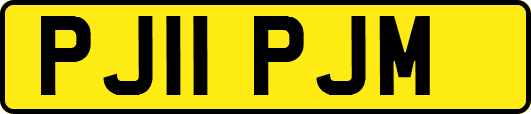 PJ11PJM
