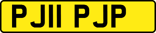 PJ11PJP
