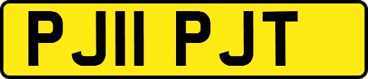 PJ11PJT