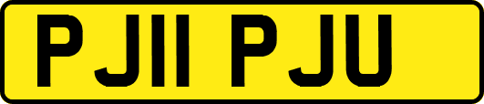 PJ11PJU