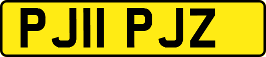 PJ11PJZ