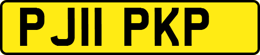 PJ11PKP