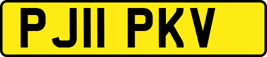 PJ11PKV