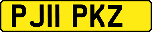 PJ11PKZ