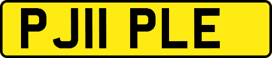PJ11PLE