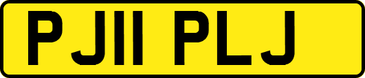 PJ11PLJ