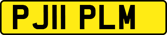 PJ11PLM
