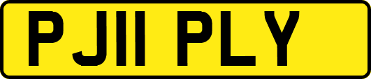 PJ11PLY