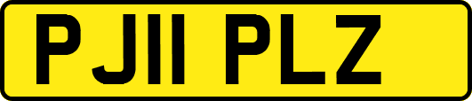 PJ11PLZ