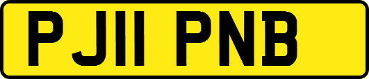 PJ11PNB