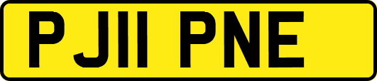 PJ11PNE