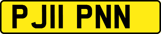 PJ11PNN