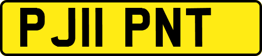 PJ11PNT