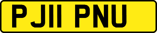PJ11PNU