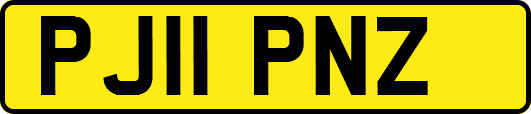 PJ11PNZ
