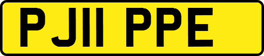 PJ11PPE