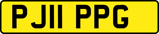 PJ11PPG