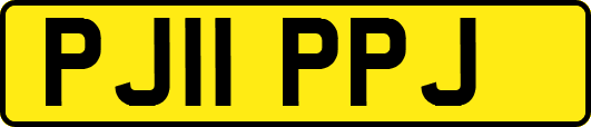 PJ11PPJ