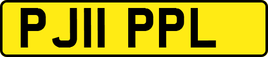 PJ11PPL